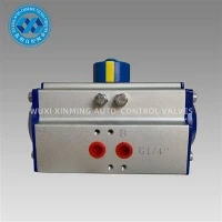 Rack Actio Sengl Tsieina Ac Actuator Pinion