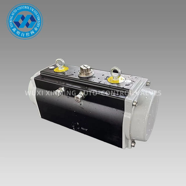 Actuator Niwmatig Anodized