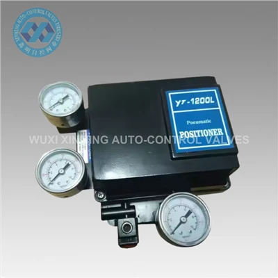 YT1000L 4 ~ 20MA GWYBOD